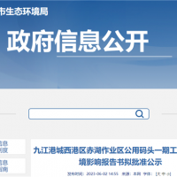 設(shè)計(jì)年通過能力600萬噸！江西九江一碼頭工程即將開建